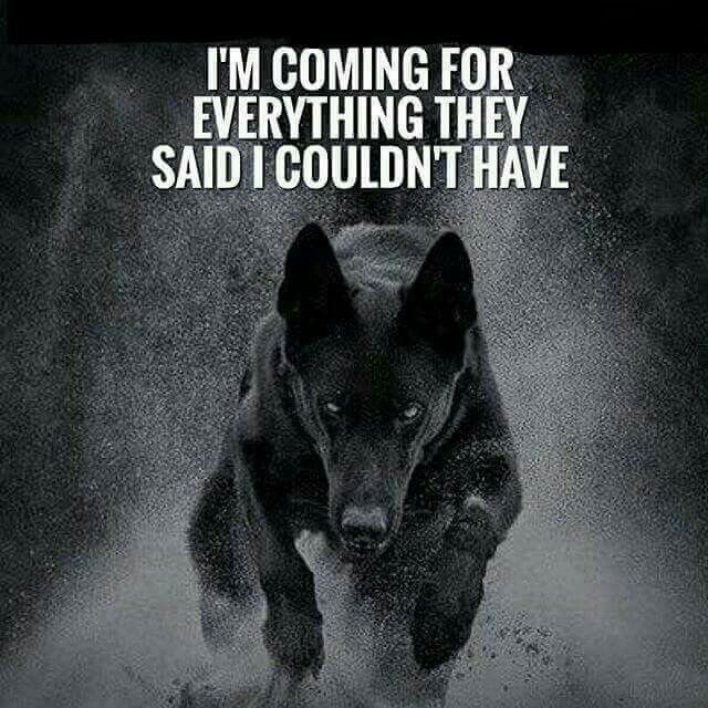 This image has an empty alt attribute; its file name is 69c00def-772a-49f2-bf52-865e58618294.jpeg