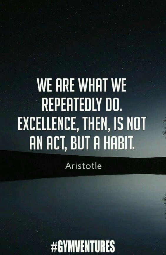 Excellence is a Habit