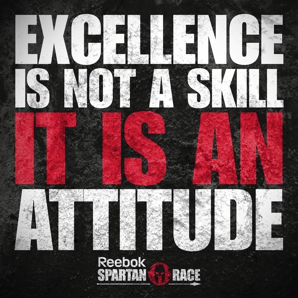 Excellence is Not a Skill
