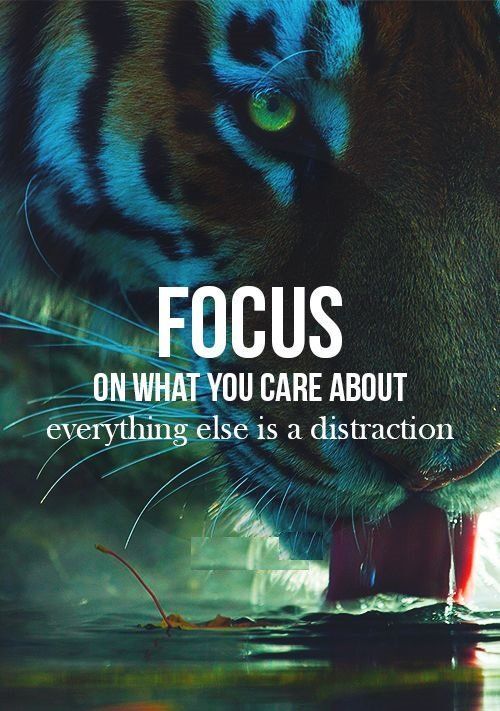 Focus On What You Care About everything elssee is a distraction